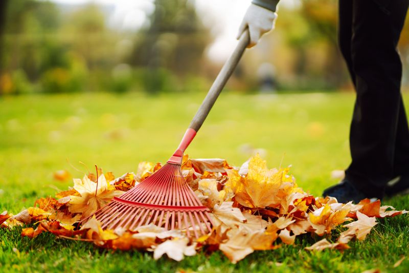 Leaf Raking