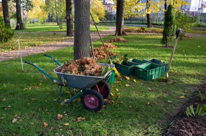 Spring Lawn Cleanup detail
