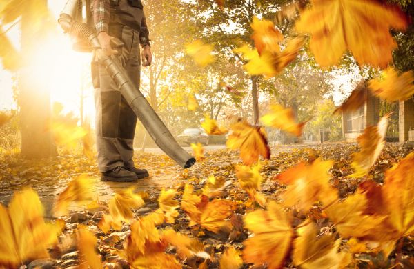 Cost of Leaf Blowing Service in El Cajon