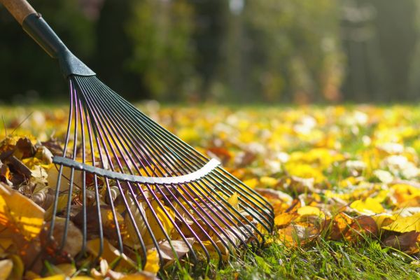 Cost of Leaf Raking Service in El Cajon