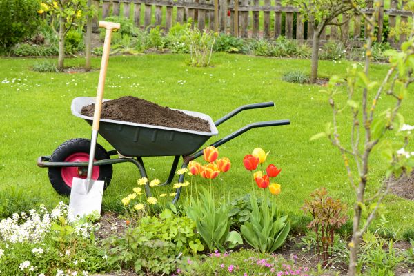 Cost of Spring Yard Cleanup in El Cajon