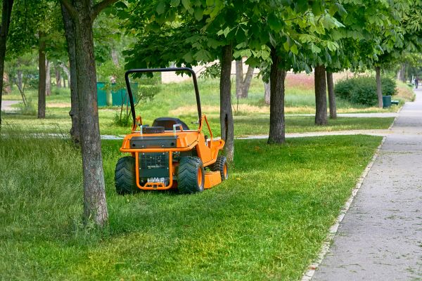 Cost of Landscaping Cleanup Service in El Cajon