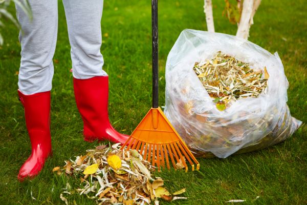 Cost of Leaf Disposal Service in El Cajon