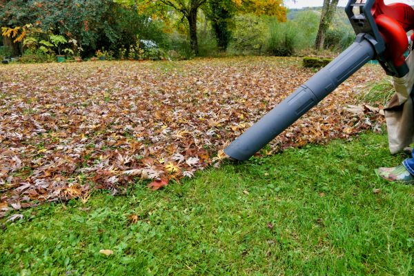 Cost of Leaves Vacuuming in El Cajon