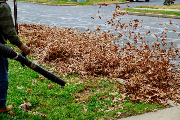 Cost of Garden Leaf Removal in El Cajon