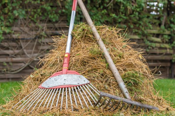 Cost of Pine Straw Clearing in El Cajon