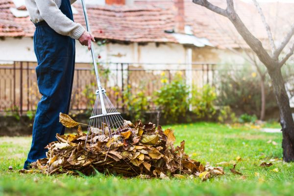 Cost of Fall Yard Cleanup Service in El Cajon