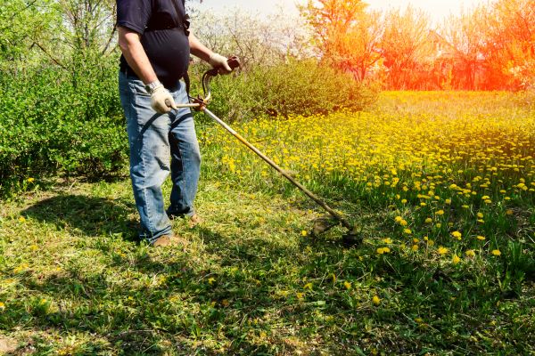 Cost of Yard Clearing Service in El Cajon